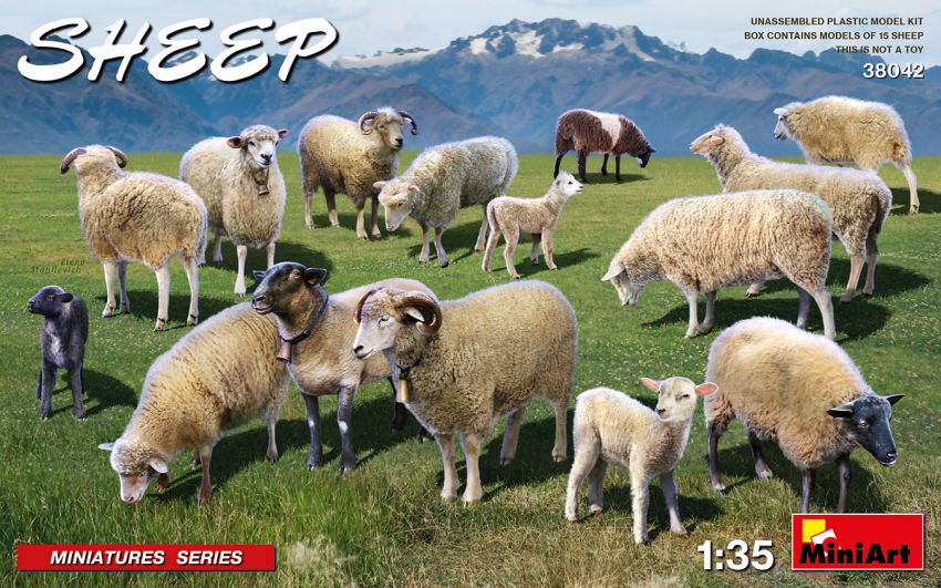 Sheep Kit – Miniart 1:35