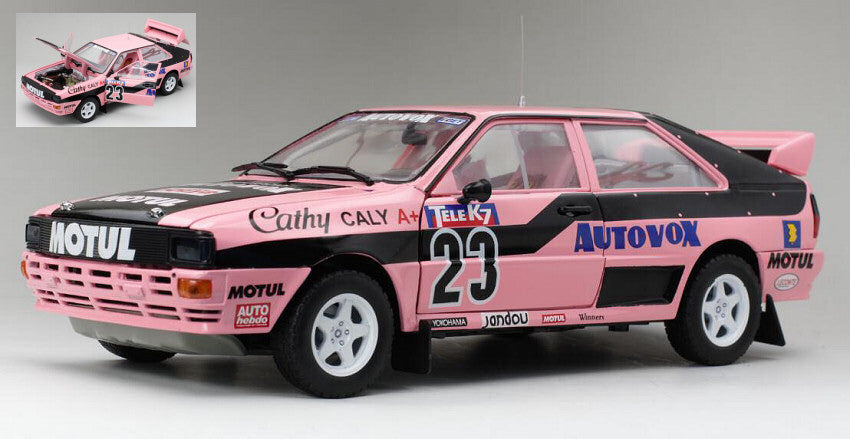 Audi Quattro N.23 French Rallycross 1987 Cathy Caly – SunStar 1:18