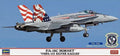 FA-18C Hornet VMFA-115 Silver Eagle Kit – Hasegawa 1:72