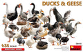 Ducks & Geese Kit – Miniart 1:35